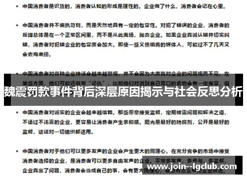 魏震罚款事件背后深层原因揭示与社会反思分析